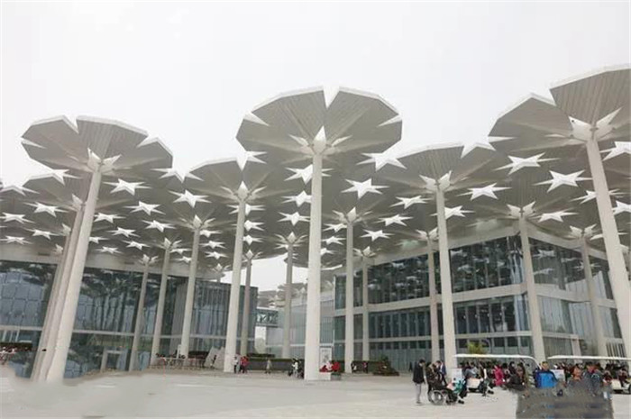 1586511940716909.jpg 5.jpg