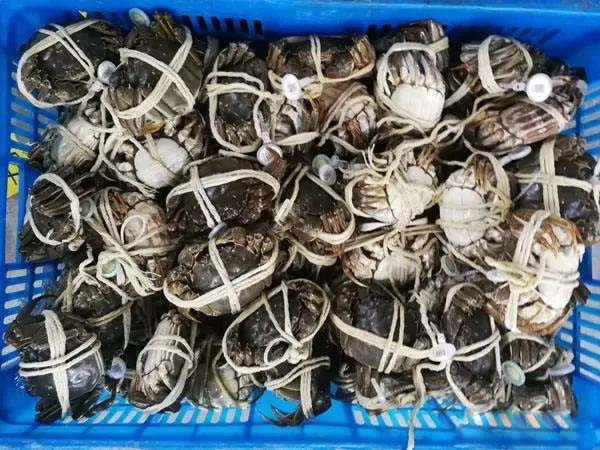 1594028814104829.jpg 4.jpg