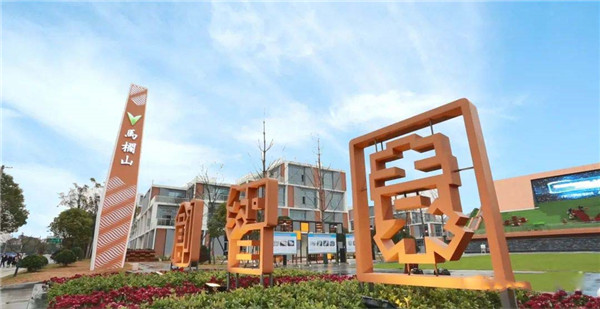 1595670555122842.jpg 1.jpg