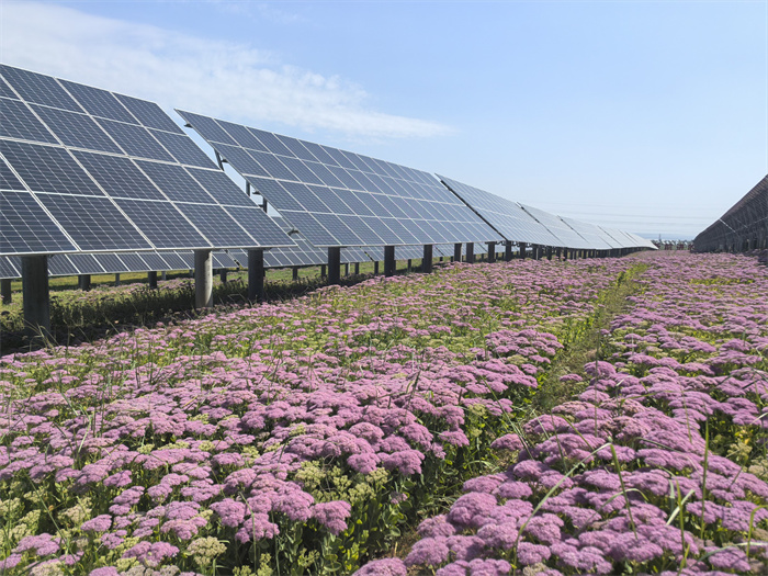 1729566965776723.jpg 2.jpg