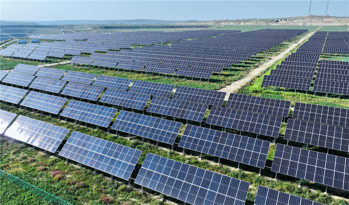 1729675565431049.jpg 22.jpg