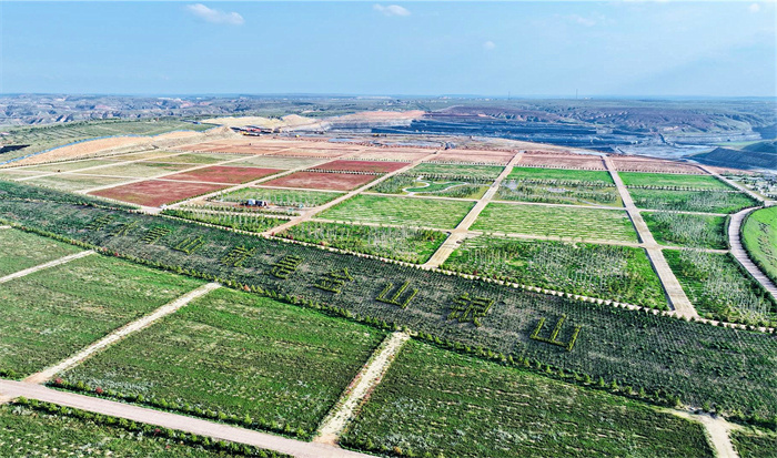 1729675571137731.jpg 33.jpg