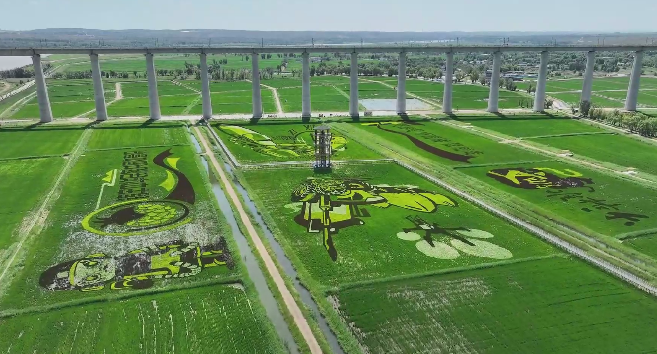 1729927188943385.png b2a76b294fbe4c348273a1f6691d1ec1.png