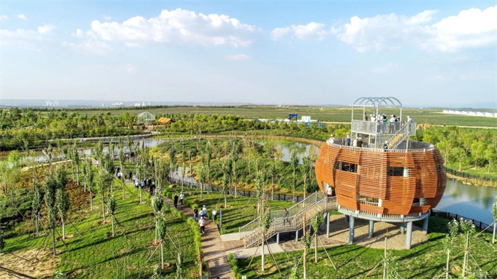 1730259304138080.png 222.png