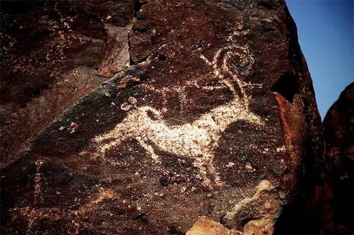 1730421110946570.jpg 6.jpg