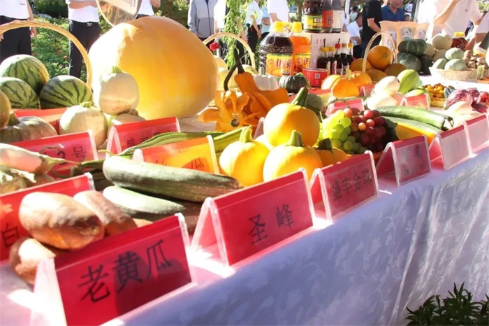 1730421127650597.jpg 9.jpg