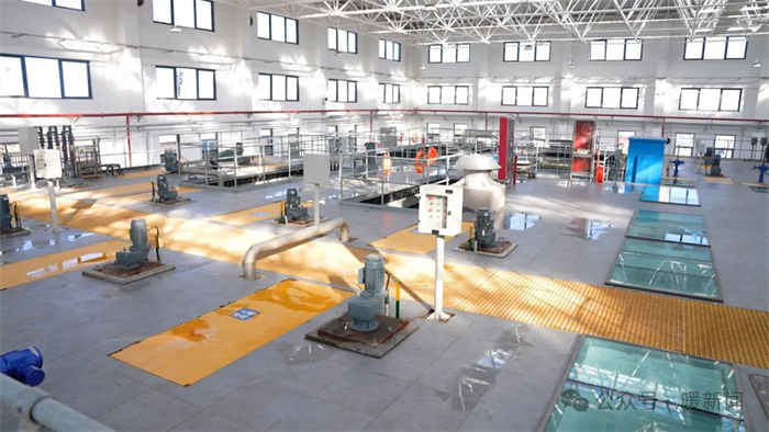 1730443866102166.jpg 4.jpg