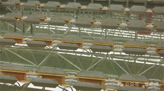 1730443902102467.jpg 9.jpg