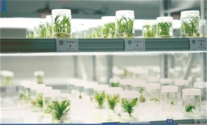 1730879732349332.jpg 40fbdec343d04ffda4a713fa65ef9205.jpg