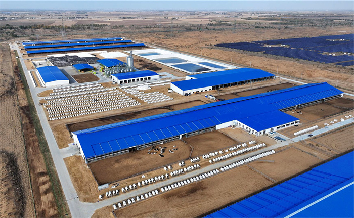 1731401846974626.jpg 3.jpg