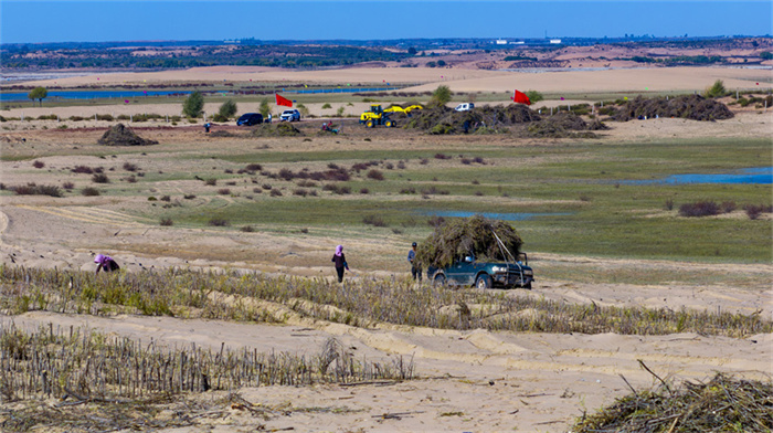 1732264585372267.jpg 2.jpg