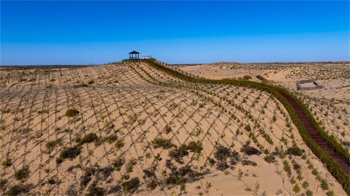 1732264590184563.jpg 3.jpg