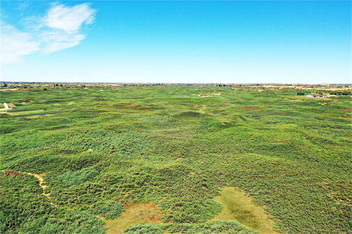 1732264595172428.jpg 4.jpg