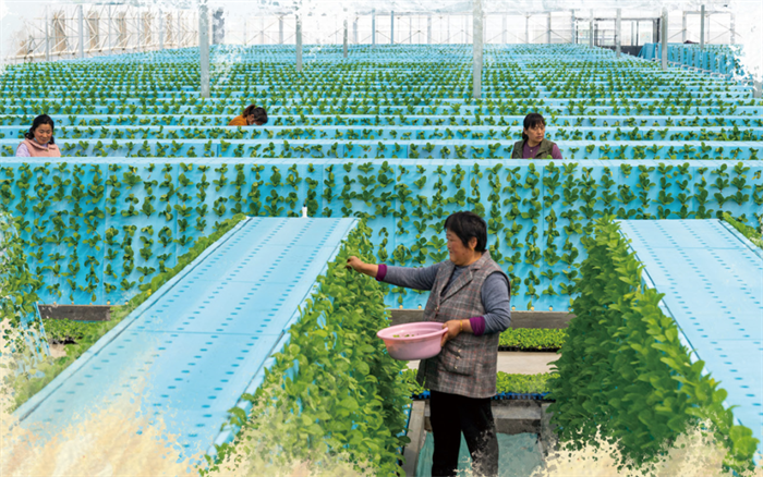 1733365404106516.png 22.png