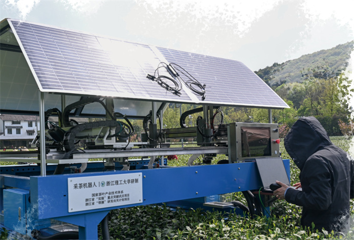 1733365418382552.jpg 55.jpg