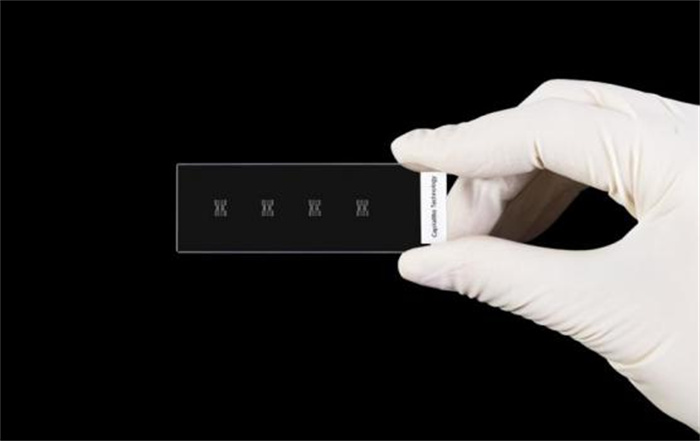 1734593552259868.jpg 3.jpg