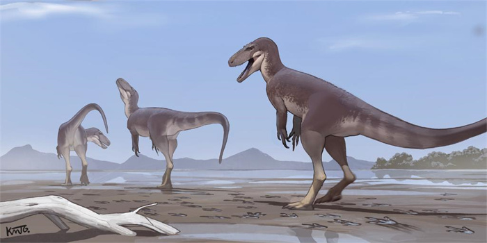 1736340975423863.jpg 1.jpg