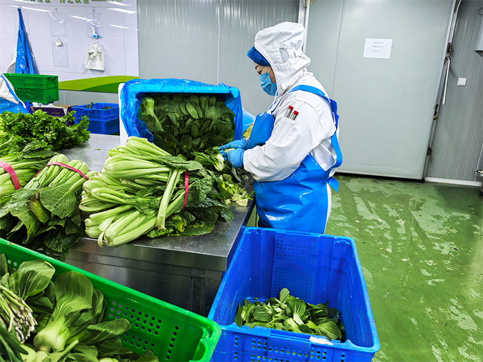 1736341157872469.png 3.png