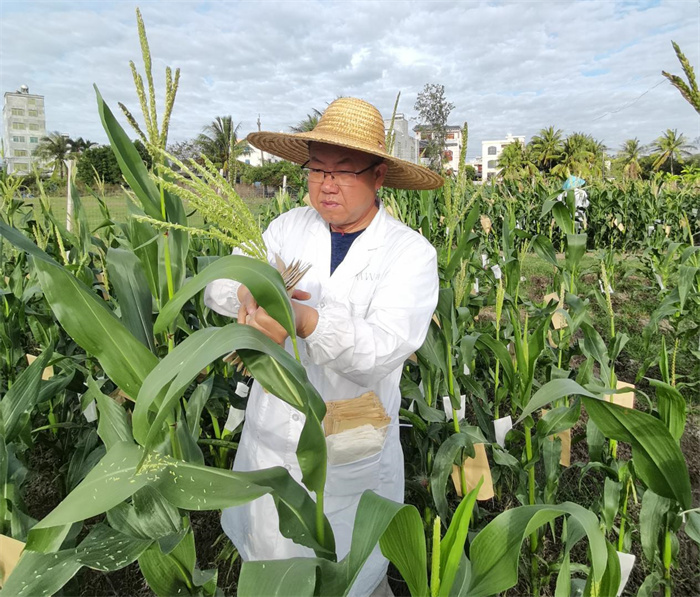 1739453746678180.jpg 11.jpg