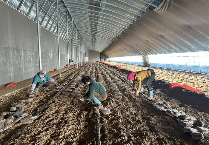 1742893999712735.jpg 1.jpg