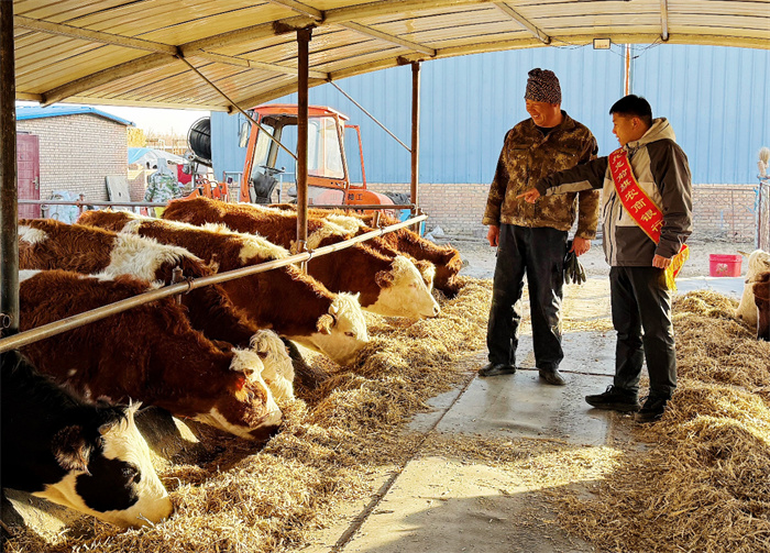 1744084168450069.jpg 2.jpg