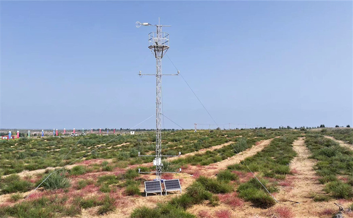 1760172290715102.jpg 222.jpg